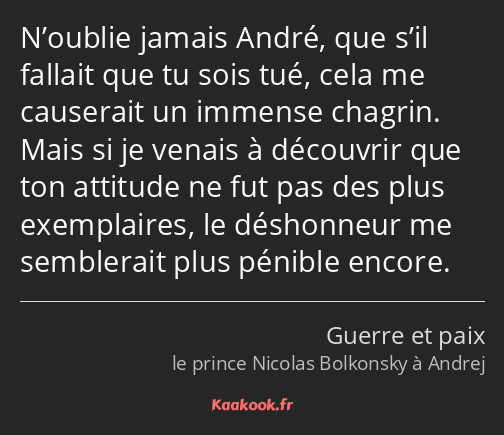 N’oublie jamais André, que s’il fallait que tu sois tué, cela me causerait un immense chagrin. Mais…