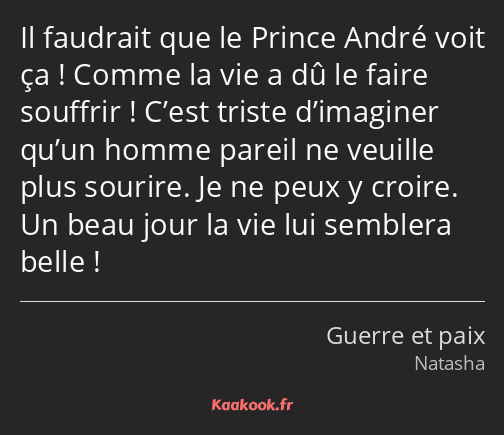 Il faudrait que le Prince André voit ça ! Comme la vie a dû le faire souffrir ! C’est triste…