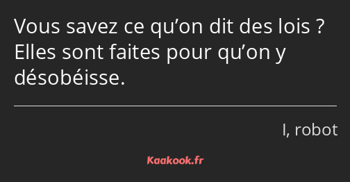 Vous savez ce qu’on dit des lois ? Elles sont faites pour qu’on y désobéisse.