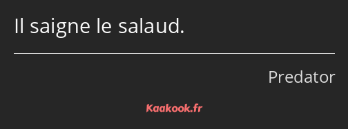 Il saigne le salaud.