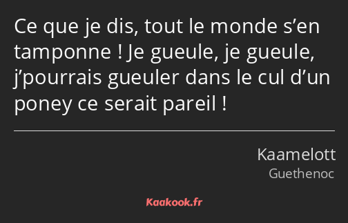 Ce que je dis, tout le monde s’en tamponne ! Je gueule, je gueule, j’pourrais gueuler dans le cul…