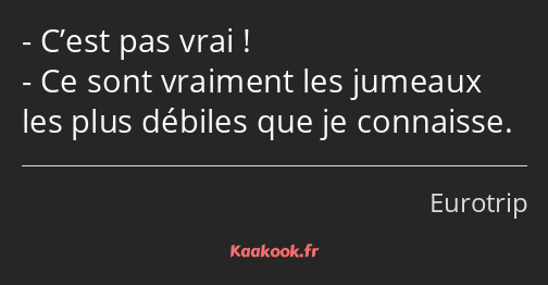 C’est pas vrai ! Ce sont vraiment les jumeaux les plus débiles que je connaisse.