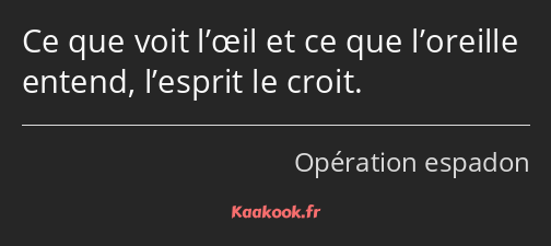 Ce que voit l’œil et ce que l’oreille entend, l’esprit le croit.