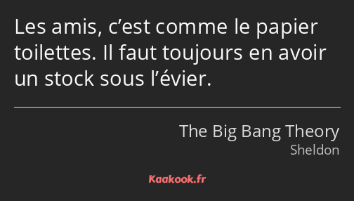 Les amis, c’est comme le papier toilettes. Il faut toujours en avoir un stock sous l’évier.