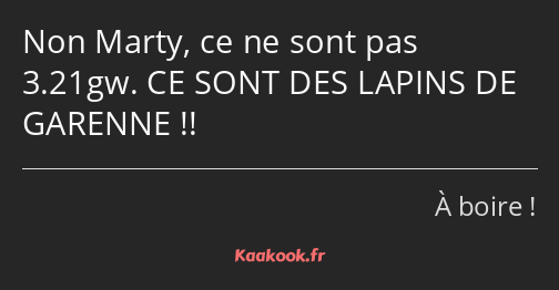 Non Marty, ce ne sont pas 3.21gw. CE SONT DES LAPINS DE GARENNE !!