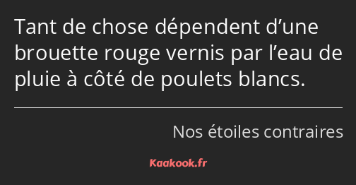 Tant de chose dépendent d’une brouette rouge vernis par l’eau de pluie à côté de poulets blancs.