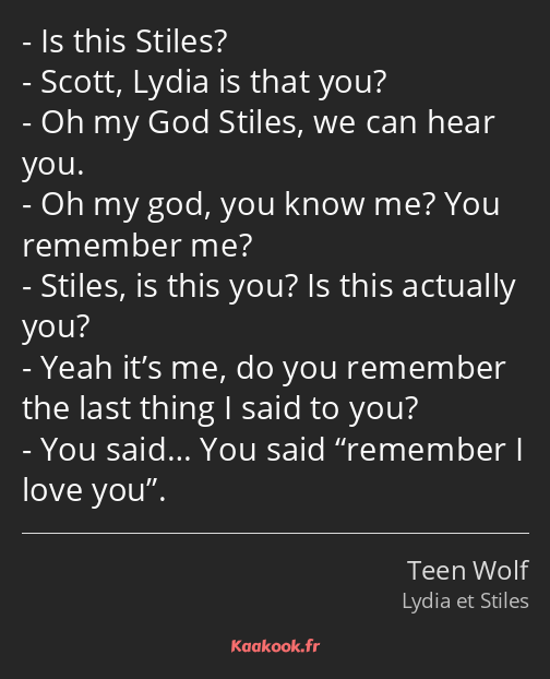 Is this Stiles? Scott, Lydia is that you? Oh my God Stiles, we can hear you. Oh my god, you know me…