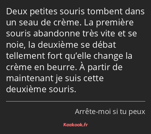 Deux petites souris tombent dans un seau de crème. La première souris abandonne très vite et se…