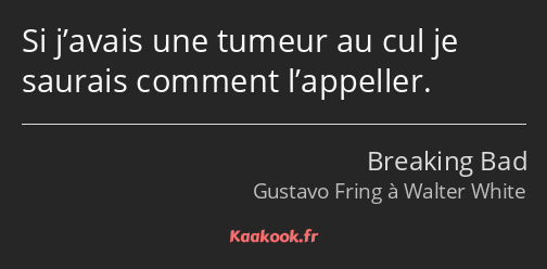 Si j’avais une tumeur au cul je saurais comment l’appeller.