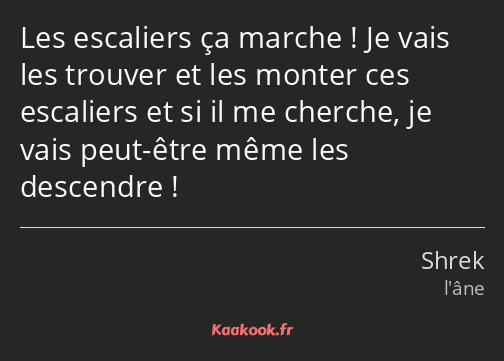 Les escaliers ça marche ! Je vais les trouver et les monter ces escaliers et si il me cherche, je…