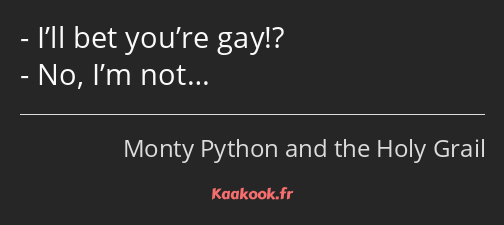 I’ll bet you’re gay!? No, I’m not…
