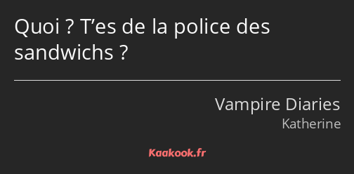 Quoi ? T’es de la police des sandwichs ?