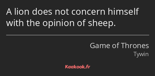 A lion does not concern himself with the opinion of sheep.