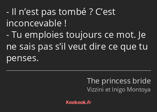 Il n’est pas tombé ? C’est inconcevable ! Tu emploies toujours ce mot. Je ne sais pas s’il veut…