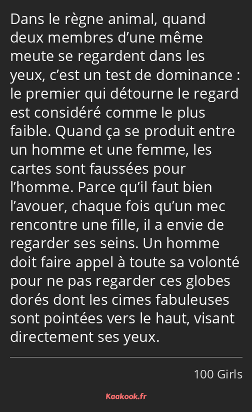 Dans le règne animal, quand deux membres d’une même meute se regardent dans les yeux, c’est un test…