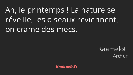 Ah, le printemps ! La nature se réveille, les oiseaux reviennent, on crame des mecs.