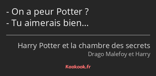 On a peur Potter ? Tu aimerais bien…