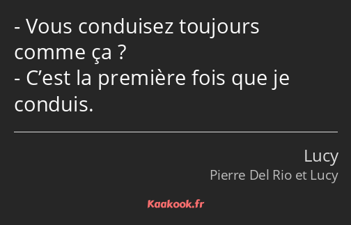 Vous conduisez toujours comme ça ? C’est la première fois que je conduis.