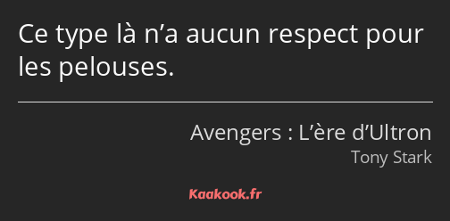 Ce type là n’a aucun respect pour les pelouses.