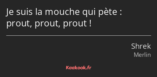 Je suis la mouche qui pète : prout, prout, prout !