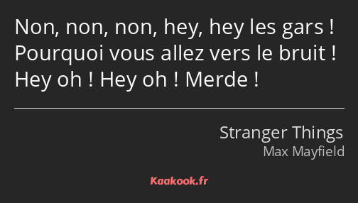 Non, non, non, hey, hey les gars ! Pourquoi vous allez vers le bruit ! Hey oh ! Hey oh ! Merde !