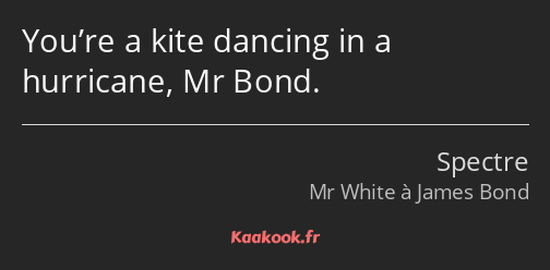 You’re a kite dancing in a hurricane, Mr Bond.
