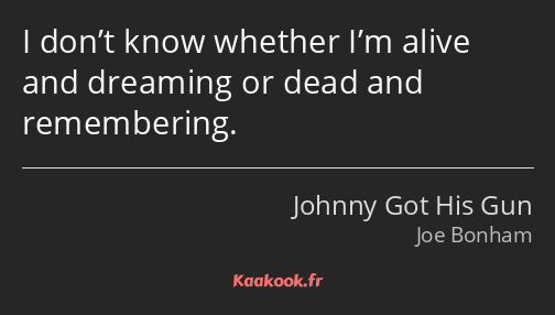 I don’t know whether I’m alive and dreaming or dead and remembering.