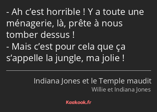 Ah c’est horrible ! Y a toute une ménagerie, là, prête à nous tomber dessus ! Mais c’est pour cela…