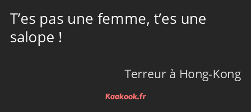 T’es pas une femme, t’es une salope !