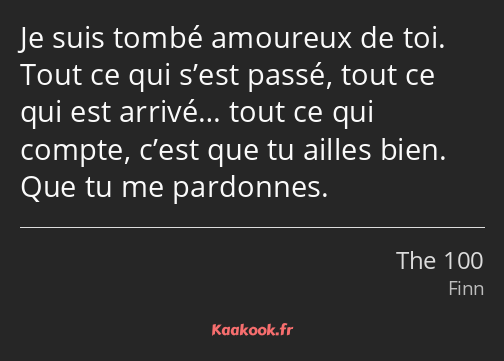 Je suis tombé amoureux de toi. Tout ce qui s’est passé, tout ce qui est arrivé… tout ce qui compte…