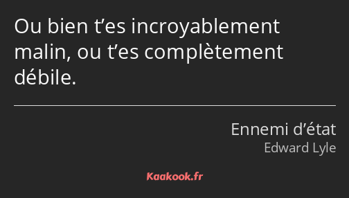 Ou bien t’es incroyablement malin, ou t’es complètement débile.