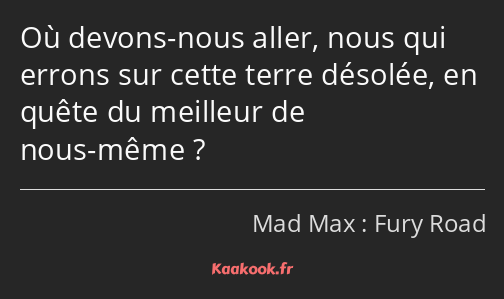 Où devons-nous aller, nous qui errons sur cette terre désolée, en quête du meilleur de nous-même ?