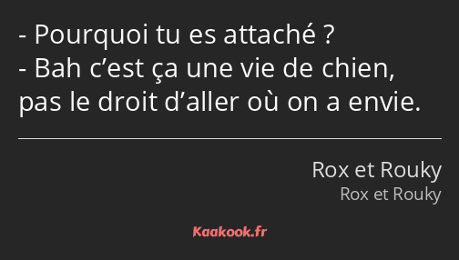 Pourquoi tu es attaché ? Bah c’est ça une vie de chien, pas le droit d’aller où on a envie.