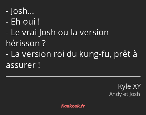 Josh… Eh oui ! Le vrai Josh ou la version hérisson ? La version roi du kung-fu, prêt à assurer !