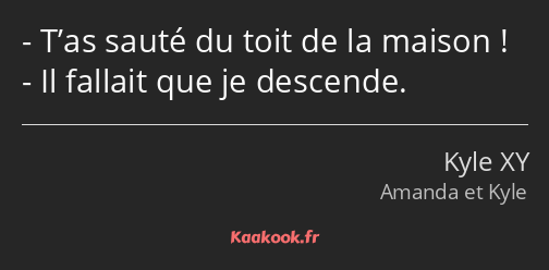 T’as sauté du toit de la maison ! Il fallait que je descende.