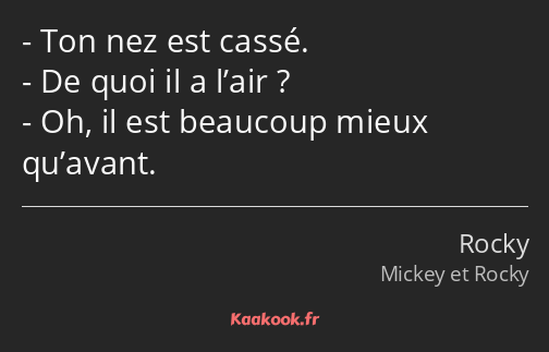 Ton nez est cassé. De quoi il a l’air ? Oh, il est beaucoup mieux qu’avant.