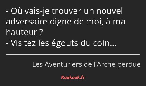 Où vais-je trouver un nouvel adversaire digne de moi, à ma hauteur ? Visitez les égouts du coin…