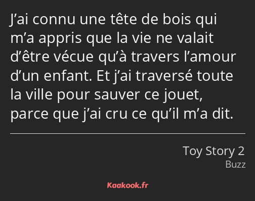 J’ai connu une tête de bois qui m’a appris que la vie ne valait d’être vécue qu’à travers l’amour…