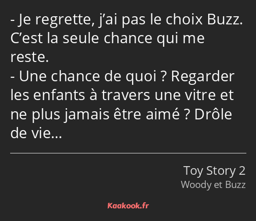 Je regrette, j’ai pas le choix Buzz. C’est la seule chance qui me reste. Une chance de quoi…