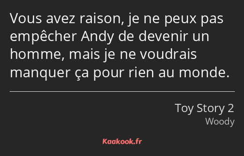 Vous avez raison, je ne peux pas empêcher Andy de devenir un homme, mais je ne voudrais manquer ça…