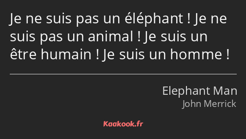 Je ne suis pas un éléphant ! Je ne suis pas un animal ! Je suis un être humain ! Je suis un homme !