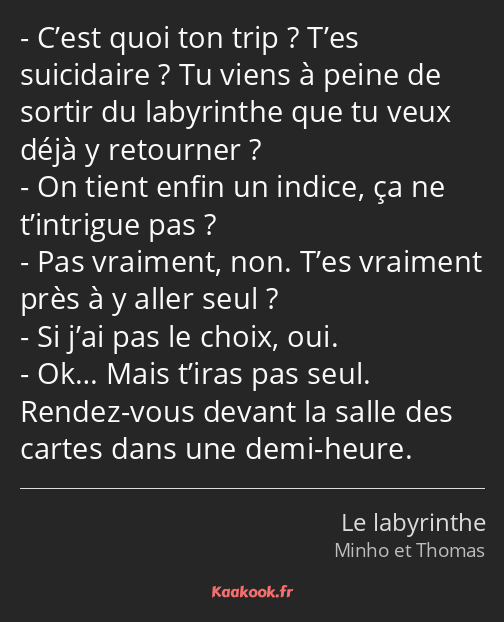 C’est quoi ton trip ? T’es suicidaire ? Tu viens à peine de sortir du labyrinthe que tu veux déjà y…