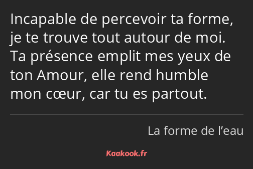 Incapable de percevoir ta forme, je te trouve tout autour de moi. Ta présence emplit mes yeux de…