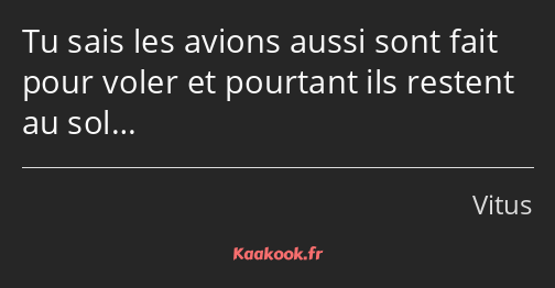 Tu sais les avions aussi sont fait pour voler et pourtant ils restent au sol…