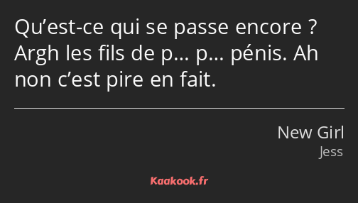 Qu’est-ce qui se passe encore ? Argh les fils de p… p… pénis. Ah non c’est pire en fait.