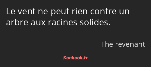 Le vent ne peut rien contre un arbre aux racines solides.