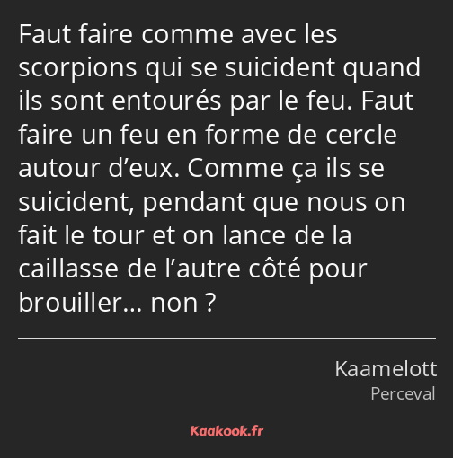 Faut faire comme avec les scorpions qui se suicident quand ils sont entourés par le feu. Faut faire…