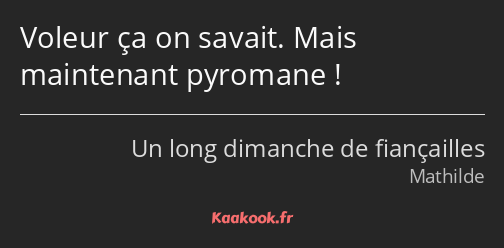 Voleur ça on savait. Mais maintenant pyromane !