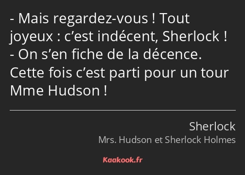 Mais regardez-vous ! Tout joyeux : c’est indécent, Sherlock ! On s’en fiche de la décence. Cette…