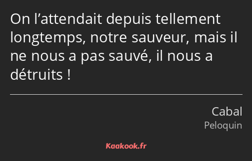 On l’attendait depuis tellement longtemps, notre sauveur, mais il ne nous a pas sauvé, il nous a…